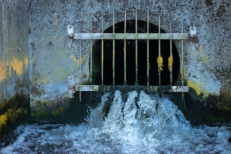 Steel grating covering water pipe entrance. Sewage treatment plant water output transporting cleared water into the river. Green and yellow algae and lichens growing on the concrete wall.の写真素材