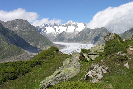 view of the glacier aletchの写真素材