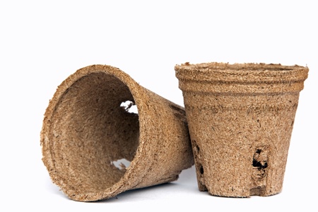 peat pots for seedlingsの写真素材