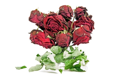 Bouquet of dried roses on a white backgroundの写真素材
