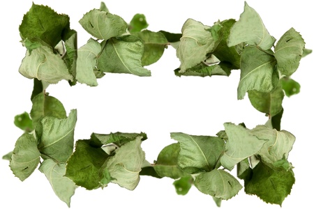 letter frame made from dry leaves conceptual backgroundの写真素材