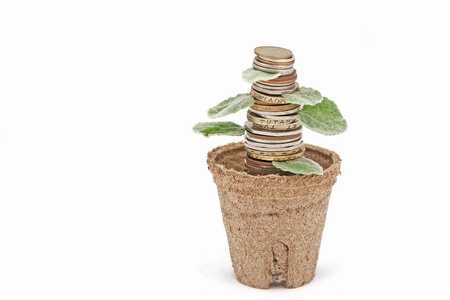 stack of coins in a potの写真素材