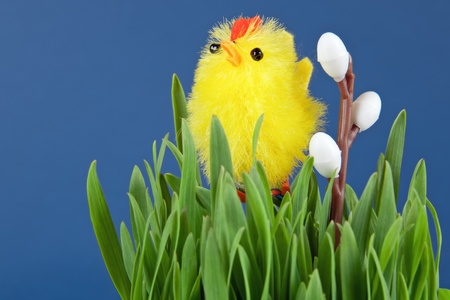 one of the symbols of easter is chick among the grassesの写真素材