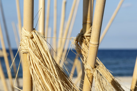 Bamboo poles, set against Baltic Sea beachの写真素材