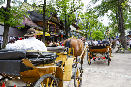 ZAKOPANE, POLAND - JUNE 07, 2015: Harnessed horses stands and waits for tourists, at the Krupowki street, the main shopping area and pedestrian promenade in the downtownのeditorial素材