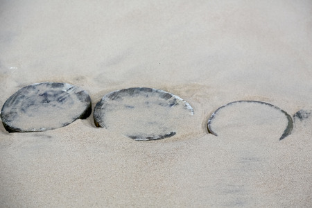 Wooden breakwaters are almost completely covered with sand on the beach in Kolobrzeg in Polandの写真素材