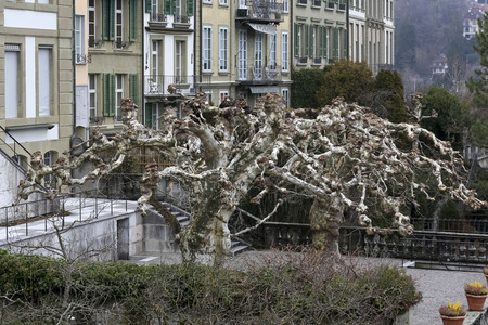 Bern Switzerland - February 19, 2018: Leafless trees are visible on the terrace of the Mansion House...