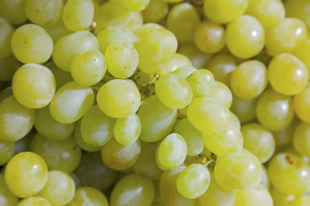 Green grapes at a market has been exposed for sale.