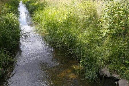 Densely growing grasses and the other plants are on both sides of the canal and are visible in the...