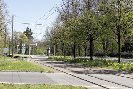 Bern, Switzerland - April 20, 2019: There is a district in which the buildings are among the trees and plants. This is the district named Murifeld.のeditorial素材