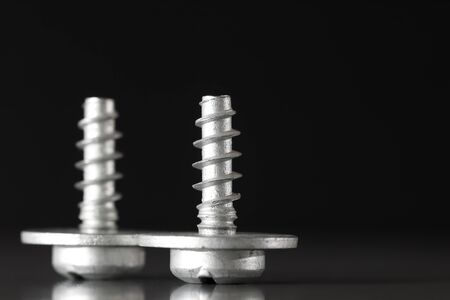 Automotive components. These two special purpose screws have been specially designed to be used for the automotive industry but can be used for other applications if necessary.の写真素材