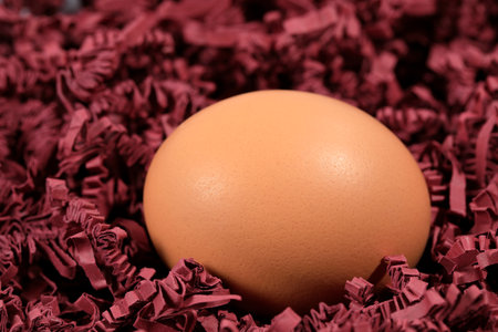 One Easter egg in the nest. This nest was made of colored shreds of paper.の写真素材