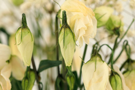 Small buds of small roses are part of the withering bouquet.
