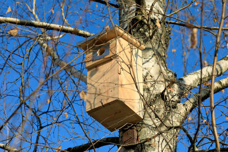 A new wooden bird house has been fixed on a birch tree trunk and is waiting for its resident. This can be seen in a public park on the Goclaw housing estate in Warsaw.の写真素材