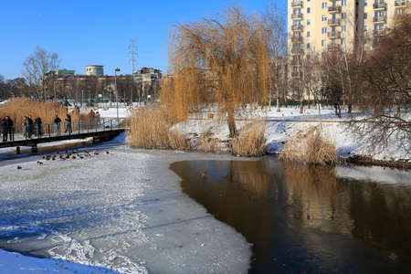 Warsaw, Poland - January 31, 2021: Apartment buildings nearby the frozen lake on a sunny winter day you can see in housing estate called Goclaw. Parkland is there as well.のeditorial素材