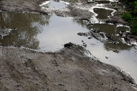 Mud puddle and tire tracks on the dirt road.