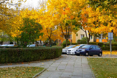 Warsaw, Poland - October 20, 2021: Maple trees in the Goclaw housing district in Warsaw change their colors from green to yellow and red in autumn.のeditorial素材