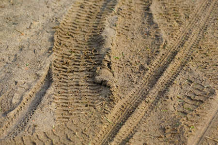 Tire tracks have been imprinted on wet, muddy sand.の写真素材