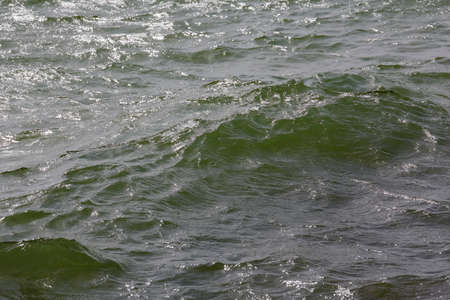 The surface of the Baltic Sea creates a natural backgroundの写真素材