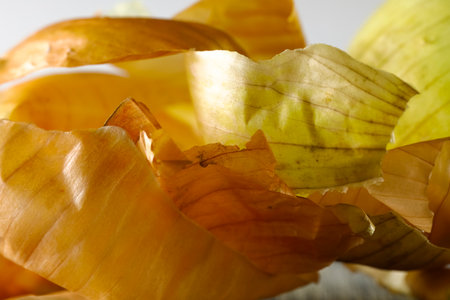 There were only pieces of peel left on the heap after peeling the onionの写真素材