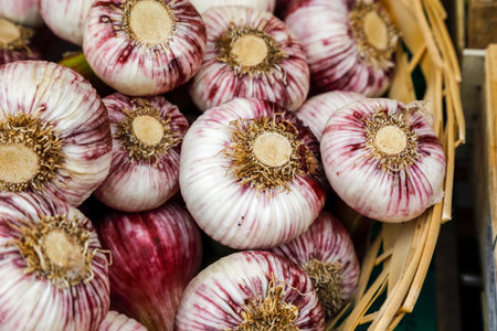 Garlic for sale at a grocery market in Nice, Franceの写真素材