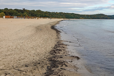 The beach along the coast of the Baltic Sea is littered with rotting seaweed, as can be seen here in Sopot, Poland. This is a seasonal phenomenon.の写真素材