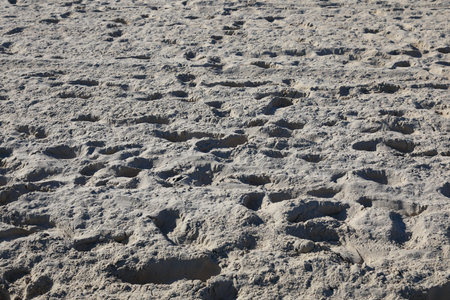 Fragment of a sandy beach on the coast of the Baltic Sea in Sopot, Poland.の写真素材