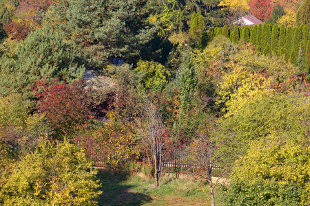 Aerial view of a fragment of allotment gardens, where only small parts of garden pavilions can be seen among the lush vegetation, in the Goclaw housing estate, Warsaw, Poland.の写真素材
