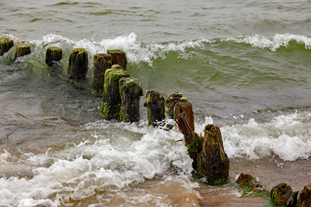 Worn breakwaters driven into the seabed still protect the coast from the damaging effects of waves on the Baltic Sea coast in Ustronie Morskie, West Pomerania, Poland.の写真素材