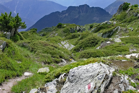 The landscape of the mountains surrounding the Great Aletsch Glacier in the Bernese Alps on a sunny summer's day in Switzerland, as seen in July 2005.の写真素材