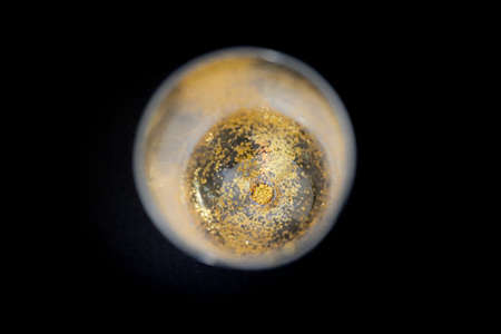 Champagne wine glass with sparkling golden glitters inside, on a black background.