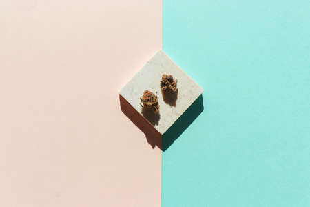 Cannabis dry herb flower on a geometrical shape marble stone, on a pastel colors background. Minimal...