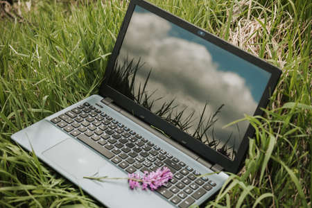 outdoors laptop with coffee cup, remote location in nature with beautiful mountains internet connection, freelancer freedomの写真素材