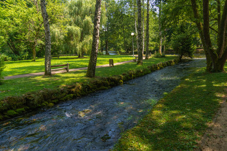 A small stream flows through the park in springtime. High quality photoの写真素材