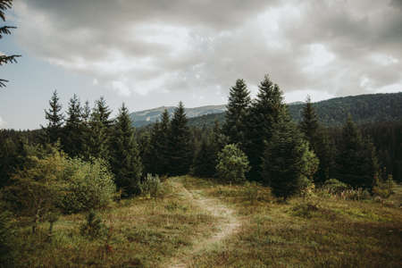 cloudy sky in the mountains with walking pathの写真素材