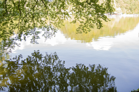 Reflection of a blue sky, clouds and trees in a lakeの写真素材