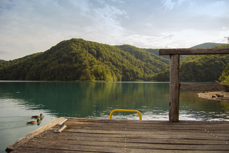 Ducks in a lake on a Beautiful day, Croatiaの写真素材