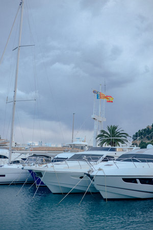 Luxury yachts docked at a marina on a cloudy day with palm trees and nautical flagsの写真素材