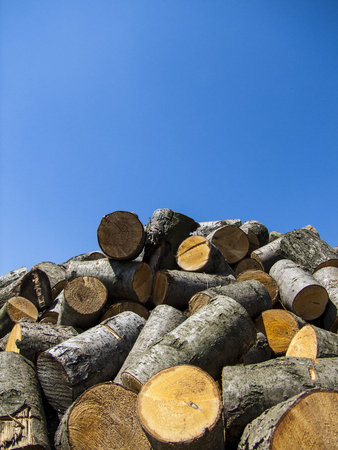 A pile of chopped pieces of wood against a clear blue skyの写真素材
