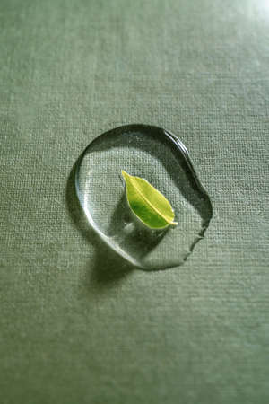 The gel drop with a green leaf on a green background.の写真素材