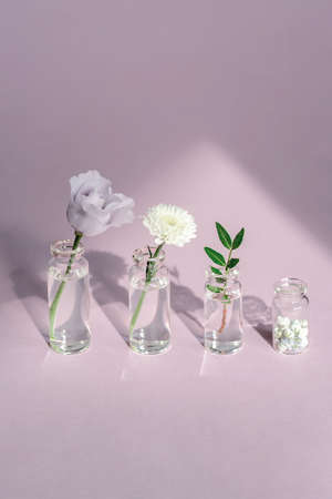 Four glass jars with flowers and greenery stand on a lilac background.の写真素材