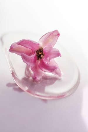 A drop of cosmetic gel with flower on a pink background.