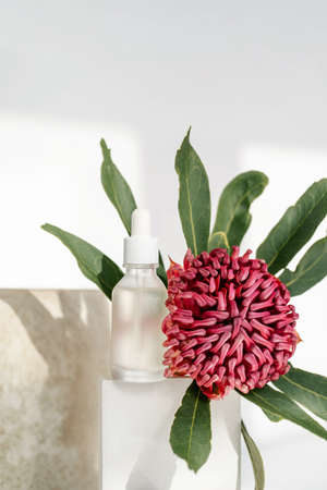 The serum and the flower stand on the podiumの写真素材