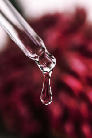 A drop of cosmetic oil falls from the pipetteの写真素材