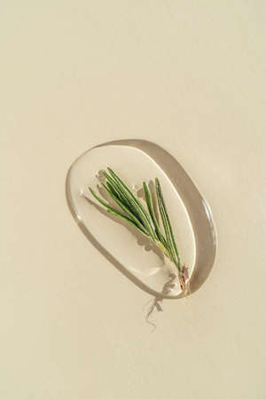 A drop of cosmetic gel with rosemary on a beige background.の写真素材