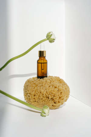 Serum and natural sea sponge on a light background.の写真素材