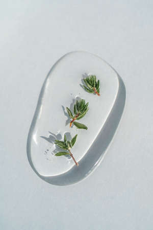 A drop of cosmetic gel with thyme on a blue background.の写真素材