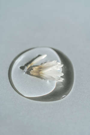 A drop of transparent cosmetic gel with chamomile on a blue background.の写真素材