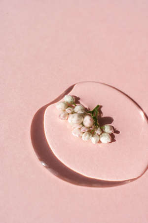 A drop of cosmetic gel with flower on a pink background.の写真素材