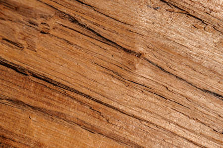 The texture of untreated old wood with cracks.の写真素材